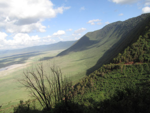 Meie džiip rühkimas Ngorongoro kraatrist välja. See punane peenike jutt seal kaldeera serval on väljasõidutee.