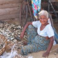 Sri Lanka: Naerusuine memm Negombo kalaturul kalu rookimas, 2006.